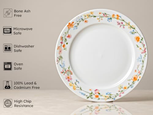 Image of Bodhi House Premium Porcelain Dinner Plates Set of 4 | Floral Vine Design | Durable, Microwave & Dishwasher Safe | for Everyday Use & Home, Dining, Kitchen & Gifting