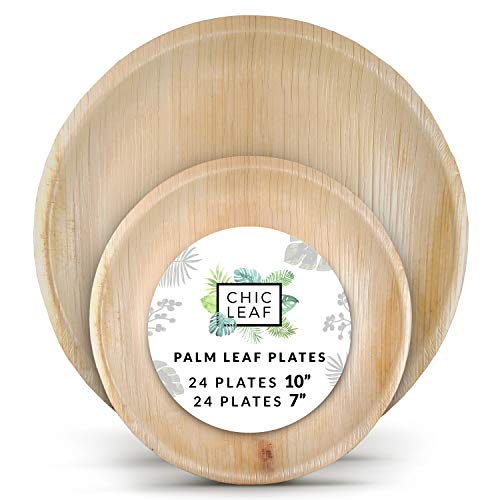 Best Wood Look Paper Plates