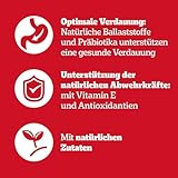PEDIGREE DOGCARE Hundefutter Portionsbeutel Chunks in Soße Adult 84 x 100g