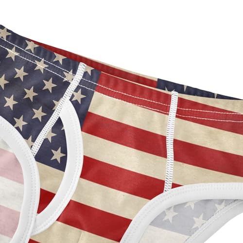 ALAZA Old American Flag Boys' Briefs Soft Underwear Available in Sizes 2t-8y4