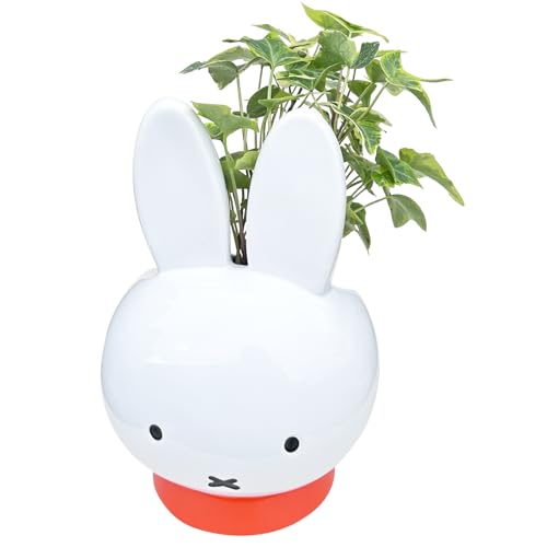 Ԃ̃Mtg ~btB[ ACr[ a ϗtA A v[g Mtg fBbNEu[i