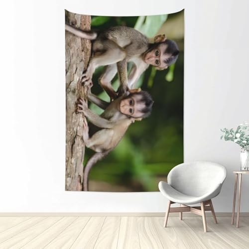 Tapisserie murale singes QGWDYYJQ en tissu haut de gamme