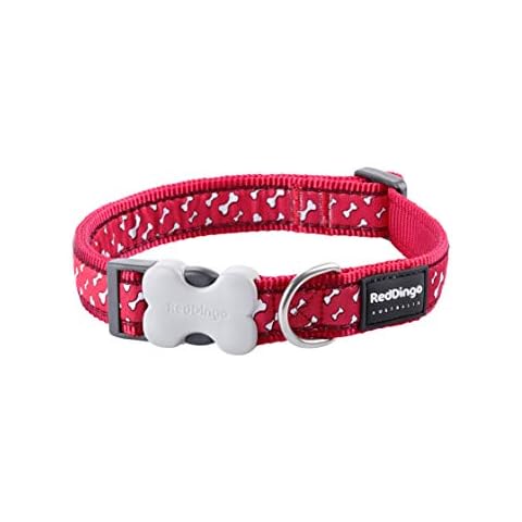 Red Dingo Bucklebone Dog Collar - Flying Bones Red Cover