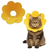KEWUF