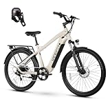 VEEFA Electric Bike