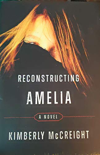 Reconstructing Amelia: A Novel view 2