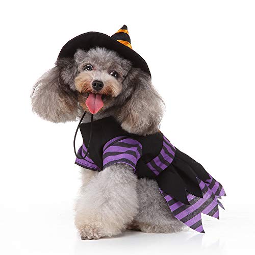 Yoption Dog Cat Witch Dress Costumes With Magic Hat, Pet Halloween Christmas Cosplay Hoodie Funny Outfits Clothes For Puppy Dogs (M) #TOP2