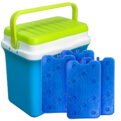 Sicignano - Nevera portátil con congelador 400 ml - Mango ergonómico, apto para camping, picnic, actividades al aire libre (Frigo Box + 4 placas, 22,5 l)