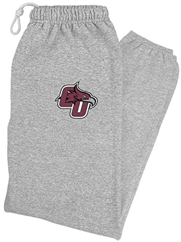 LOGOVISION Cumberland University Primary Logo Mens Jogger Sweatpants, Athletic Heather, XX-Large