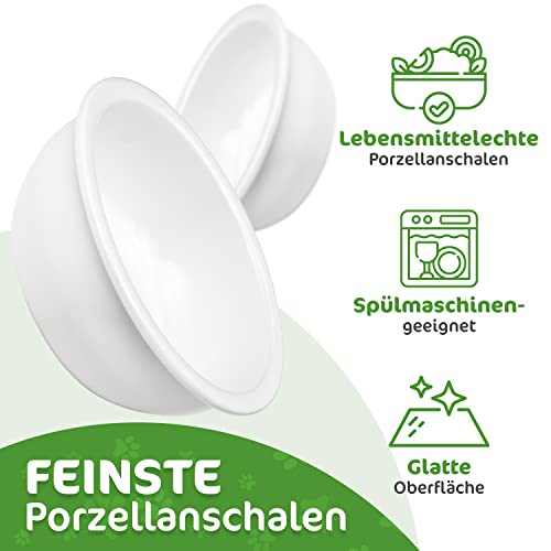 giriniwee Qualitäts Futter Bar mit Zwei 400ml Porzellannäpfen im Bambusgestell, erhöhte Doppelschale für Katzen, Kitten, kleine Hunde, Welpen und andere kleine Haustiere