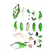 4D Vision Frog Anatomy Model, 23 Pcs Frog Dissection Puzzle Kit with Detachable Organs and Body Parts, Educational STEM Toy with 11 Knowledge Flash Cards, Science Learning Activity for Kids Ages 6+