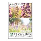 Sundial Wild Lupine Seeds (Lupinus perennis) – 50+ Heirloom Non-GMO Seeds, Vibrant Native Perennial Flowers for Pollinator Gardens, by Isla’s Garden Seeds, Easy to Grow, Perfect Home Garden Gift