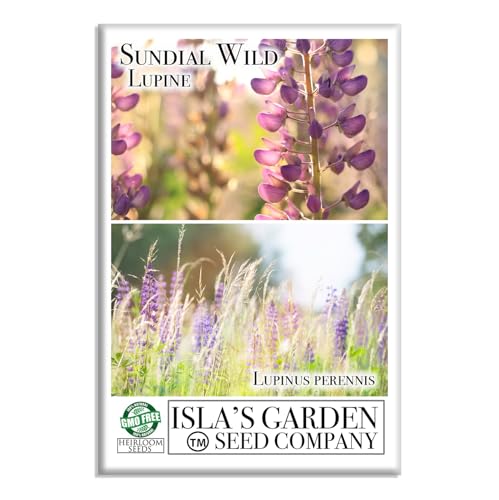 Sundial Wild Lupine Seeds (Lupinus perennis) – 50+ Heirloom Non-GMO