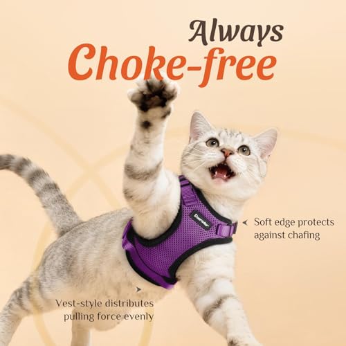 Image of Dooradar Cat Harness and Leash Set, Escape Proof Safe Adjustable Kitten Vest Harnesses for Walking, Easy Control Soft Breathable Mesh Jacket with Reflective Strips for Cats, Purple, XS