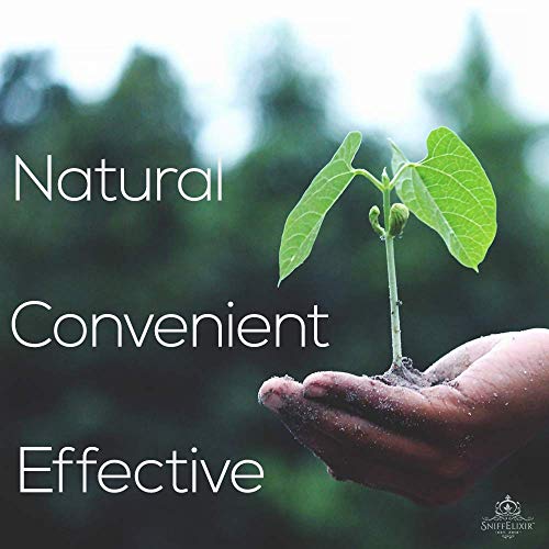 Immune Support & Defense Aromatherapy Nasal Inhaler - Preventative & Immune System Booster For Respiratory Care | Undiluted Organic Essential Oil Wellness Blend For Immunity Support & Prevention #TOP4