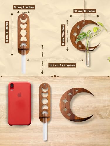 Image of Bombay Greens Wall Hanging Moon & Lunar Phase Planter with Wooden Holder & Rope | Test Tube Hanging Planter | Wooden Stand for Home Decor, Living Room, Balcony & Office Decoration