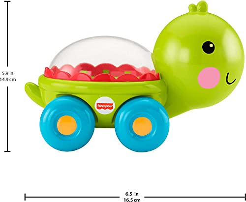 Fisher-Price HFG07 Baby Crawling Toy Poppity Pop Turtle Push-Along Vehicle thumb #4