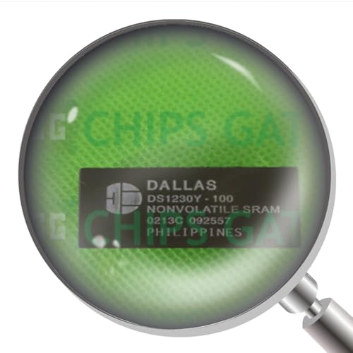 DS1230Y-100 2Pcs New DS1230Y-100