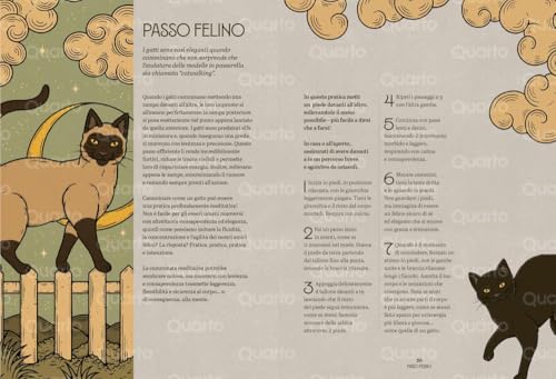 Gatti Zen. Guida Felina Alla Meditazione. Ediz. A Colori - 8