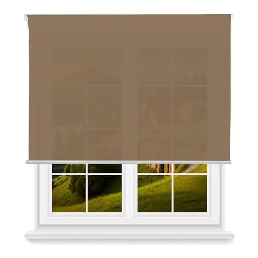 Estor Enrollable Translúcido Liso - Marrón Claro, 110 x 175cm (Ancho x Largo)/Tamaño de la Tela 107 x 170cm