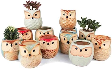 T4U 2.5 Inch Owl Ceramic Succulent Planter Pots with Drainage Hol...