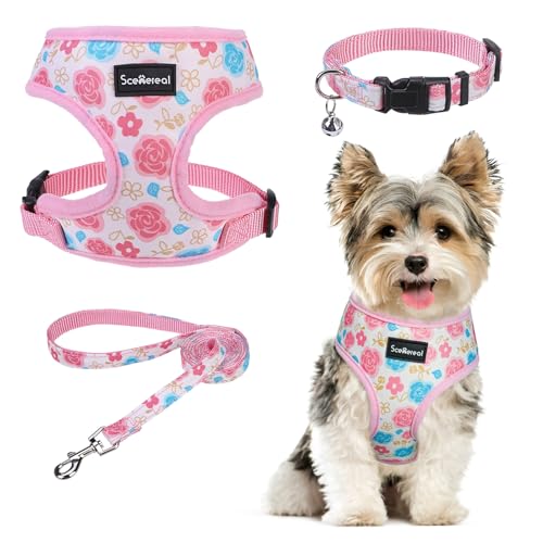 SCENEREAL Small Dog Harness Collar and Leash Set, Adjustable No Pull Pet Harnesses, No Chock Soft Mesh Step in Vest for Doggie Puppy Medium Dogs Cats Girl or Boy,Chihuahua, Yorkie, Outdoor Walking