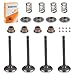 For EZGO 4 Cycle Gas Golf Cart Fuji Robin 295cc 350c EH29C EH35C Intake Valve Exhaust Valve W/Seals Spring Retainers & Collet 72507-G01 72508-G01 1992-2002