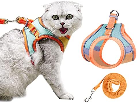 oceven wireless dog fence