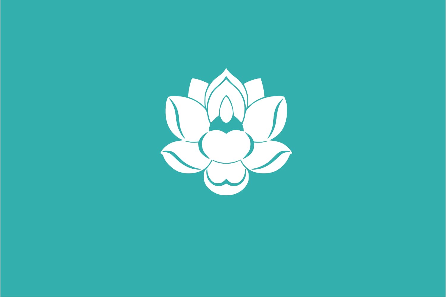 Drapeau large Sinŭiju Special Administrative Region en tissu résistant pour mât