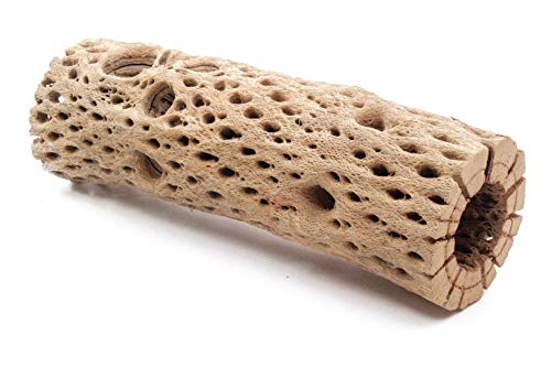 Image of 3, 6, 9, 12 Inch All Natural Teddy Bear Cholla Wood Extra Hollow Untreated Organic Aquarium Driftwood Decoration Chew Toy Shrimp Crab Cichlid Nano Tank Birds 1 or 5 Pieces (1 Piece, 9 inch)