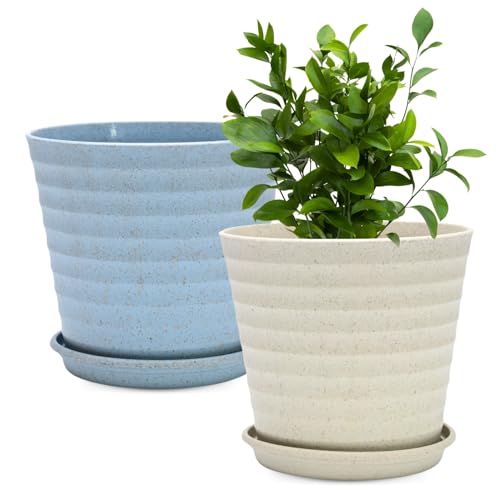 Eha Set of 2 Earth-Friendly Linea 7.5" Pots for Plants | Bamboo B...