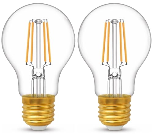 YUNRRD E27 Screw LED Edison Bulb,6W(60 Watts Equivalent),Warm White 2700K E27 Light Bulb,Energy Saving Screw in Light Bulb,A60 Clear ES LED Filament Bulbs,600 Lumen,220-240V,Non-Dimmable,Pack of 2
