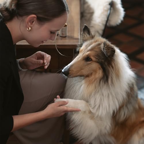 Wundsalbe für Hunde – natürlicher Balsam, mit Aloe Vera und pflanzlichen Ölen, regeneriert und lindert Juckreiz, mit Hyaluron und Zink, FIRST AID BALSAM von LILA LOVES IT, 30 ml