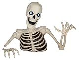 Seasons 48' Halloween Giant Ground Breaking Skeleton with LED Light Up Moving Eyes, Creepy Sound Effect for Yard or Porch Halloween Decoration