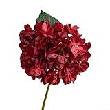 Photo Gallery bouquet di ortensie artificiali con fiori di stoffa a lunga durata per la decorazione della casa, perfetto per aggiungere raffinatezza a vari spazi interni con facile disposizione (rosso) Photo Gallery bouquet di ortensie artificiali con fiori di stoffa a lunga durata per la decorazione della casa, perfetto per aggiungere raffinatezza a vari spazi interni con facile disposizione (rosso)