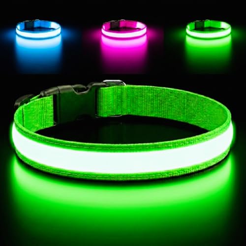 Light Up Dog Collar Reflective Adjustable Rechargeable Electronic Glow Pet Collars Bright Comfortable High Visibility LED Dog Collar for Night Safety Outdoor Walk Flashing Fun Green Small