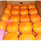 愛媛産 次郎柿5キロ 柿, 秋の旬の味覚, 10月下旬～12月上旬まで出荷, 新鮮フルーツ