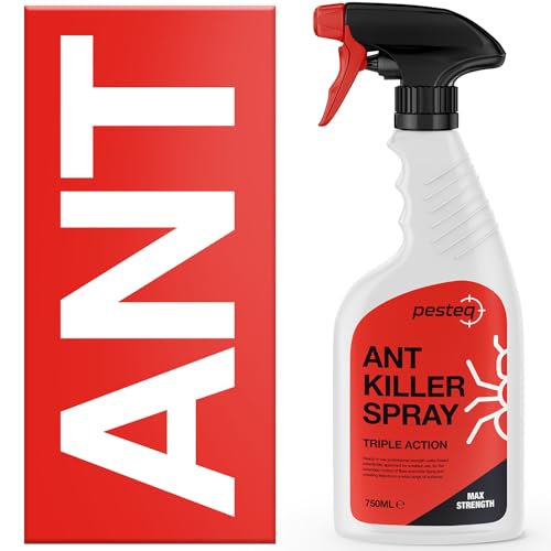 PESTEQ Ant Killer Spray for Indoor & Outdoor Use (750ml) | Max Strength Household Ant Spray | Kills Ant Adults, Larvae, Eggs & Nests Fast | Odourless & Non-Staining Ant Treatment