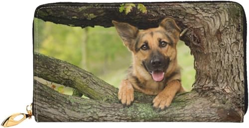 [YINGD] W[}VFp[h hbO  z gтɕ֗ U[ EHbg @\ Y fB[X v z  J[h[ e TCt K ^ z av[g ObY