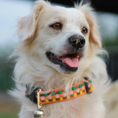 JJUNW 6 Stück Oval Spring Karabinerhaken, Groß Zinklegierung Karabiner Schlüsselanhänger, 4cm Carabiner Oval Karabiner für Schlüsselanhänger Tasche Schmuck DIY Handwerk(Gold)