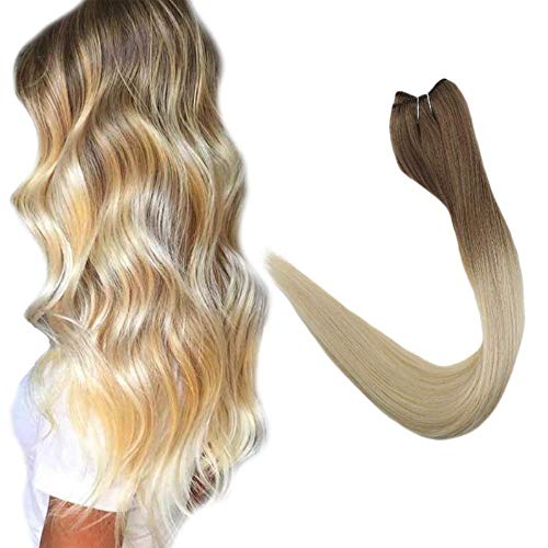 Fshine Remy Hair Extensions Human Hair Weft Full Head Hair Bundles No Clip Extensions 20" Long Straight Weave Hair 100g Dip Dyed Brown Fading to Blonde 6/613