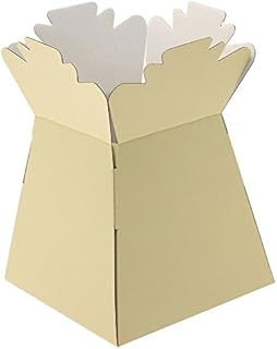 APAC 5 x Ivory Living Vase Flower Box Flower Bouquet Transporter, Sweet Tree Box