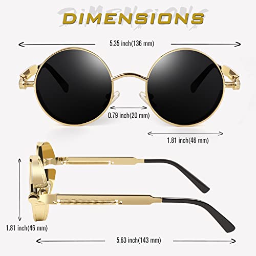 Image of GQUEEN Retro Round Circle Steampunk Sunglasses Polarized Metal Alloy for Women Men MTS2