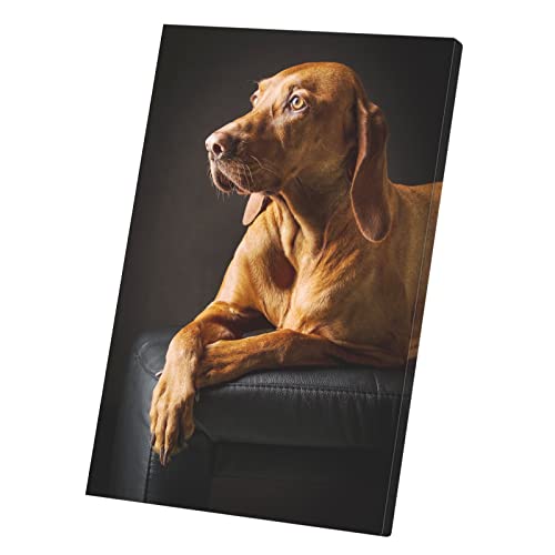 Tableau Braque Hongrois en toile imprimée portrait de grand chien marron 30x45 cm
