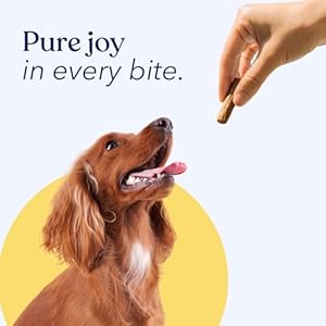 Sincere Paws Canine Jerky Treats  Allpure Jerky Canine Treats for Coaching Pets  Human Grade Sticks  Actual Usa Hen  Cucciolini Doodles Sincere paws canine jerky treats  all pure jerky canine treats for coaching pets  human grade sticks  actual usa hen   cucciolini doodles