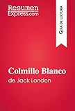 ResumenExpress.com
