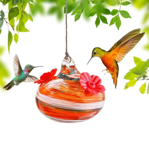 patio best window bird feeder
