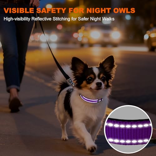 Image of Taglory Reflective Dog Collar for Puppies, Gentle and Safe for Night Walks