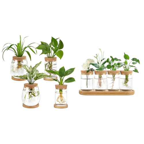 Dahey 4 Pcs Desktop Propagated Plant Jars and 4 Pcs