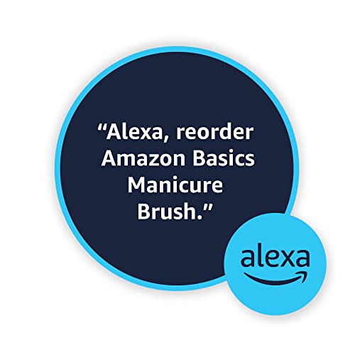 Amazon Basics Manicure Brush, 10 Count #TOP4